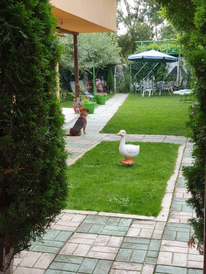Casa Lucky Hotell Rîşnov Eksteriør bilde